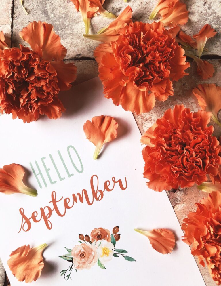 September 2025 Newsletter
