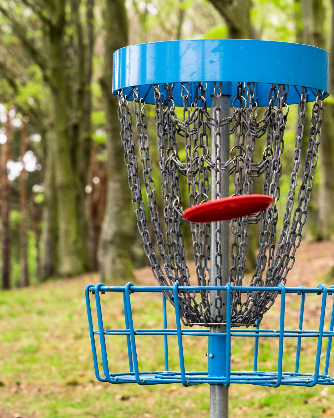 Empowered Services Disc Golf