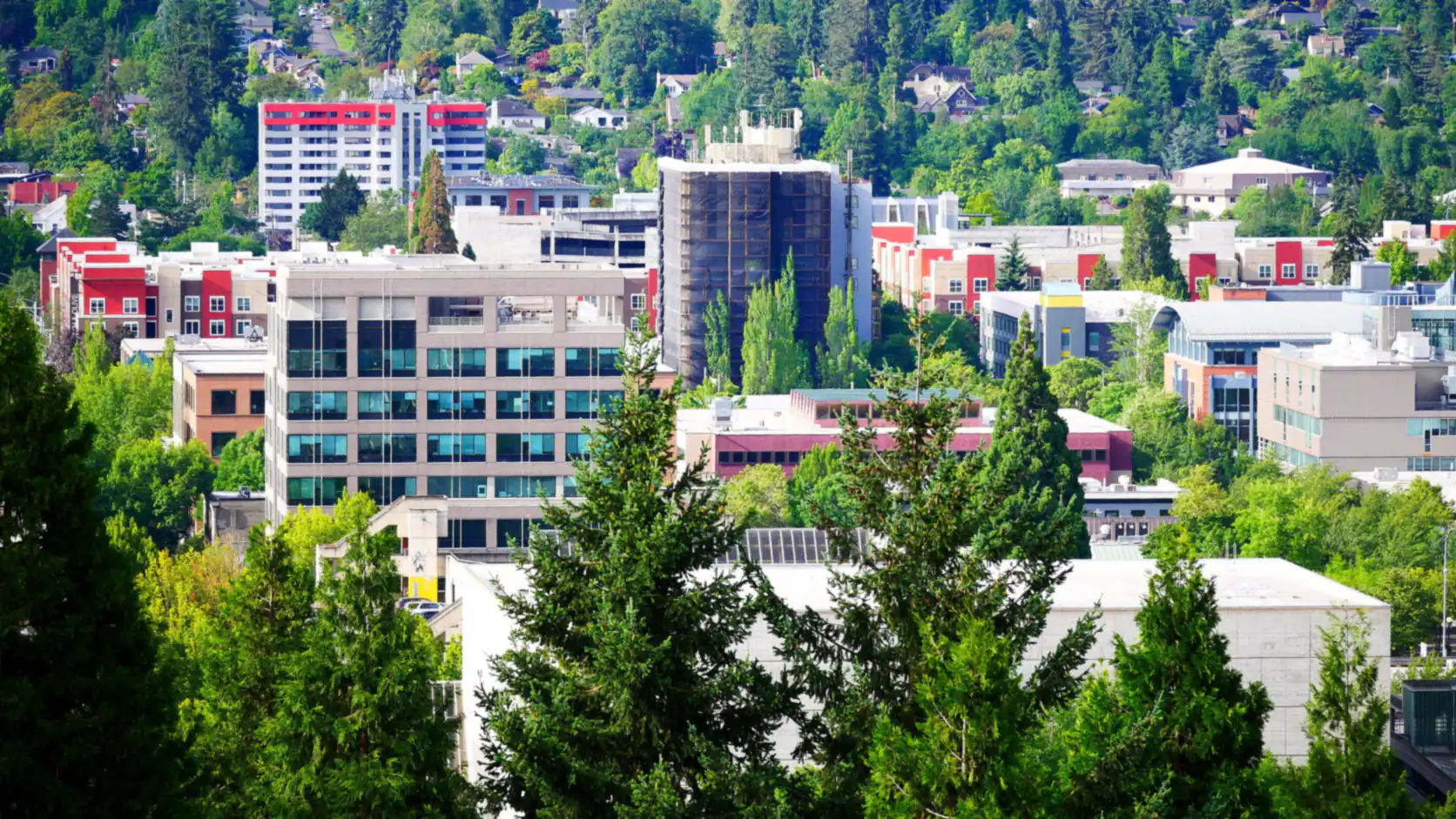 Downtown Eugene seen from Skinner Butte, with green tree canopy framing the city buildings
