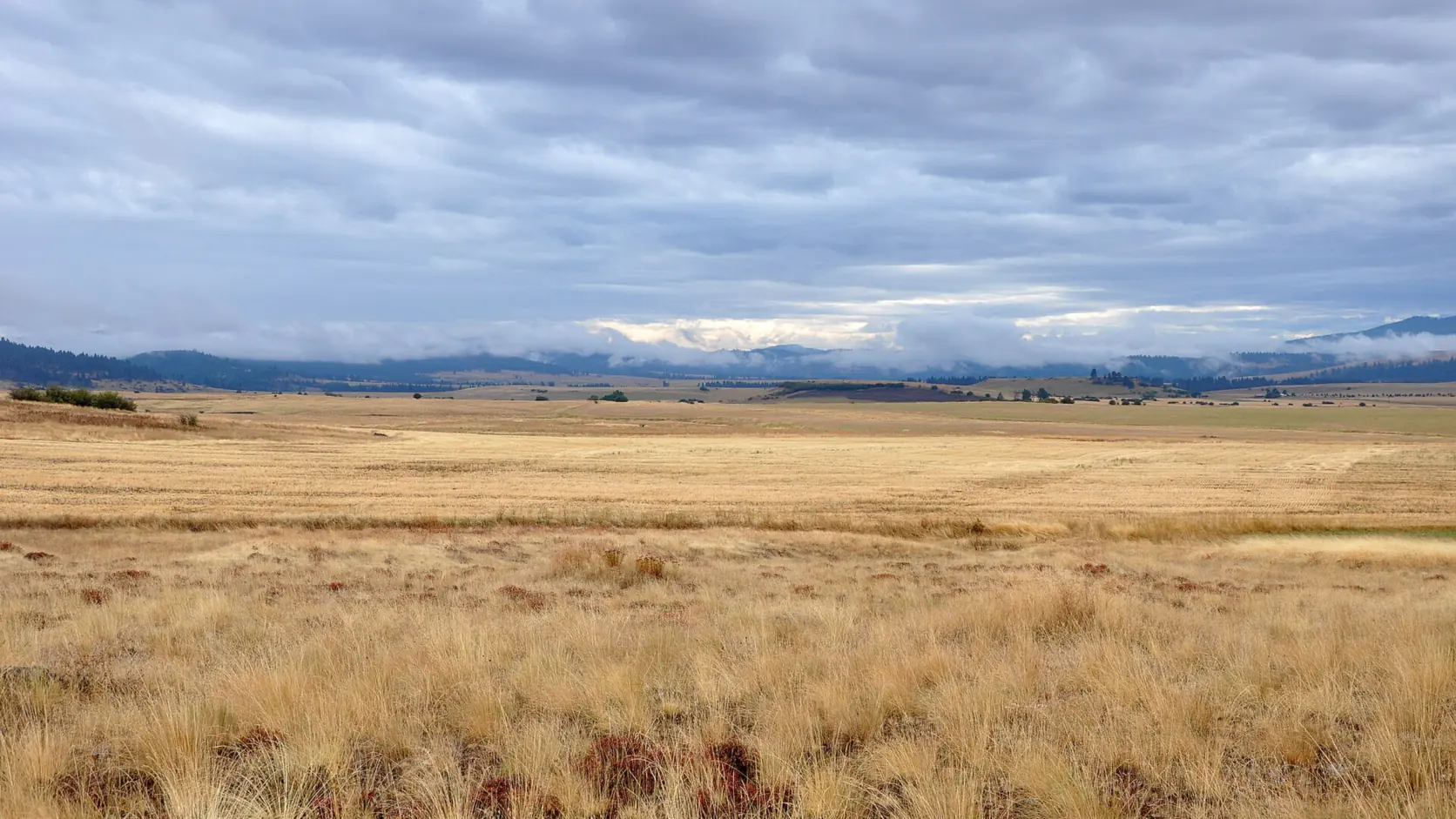 Open grassland of the Grande Ronde Valley with distant mountains, Union County