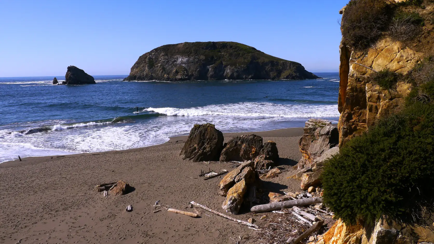 Sea stacks and driftwood on the sand at Harris Beach near Brookings, Curry County