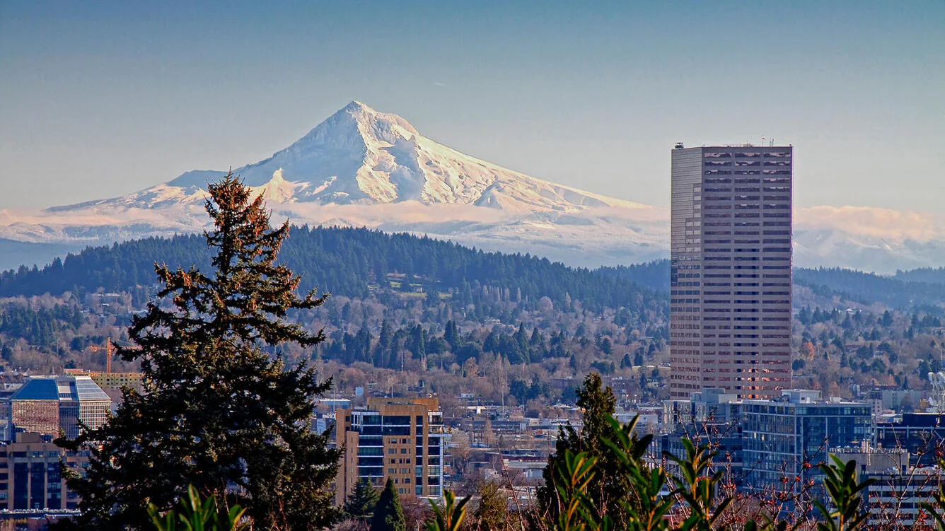 The Portland skyline with snow-capped Mount Hood rising beyond, seen from a wooded hillside in Multnomah County, Oregon