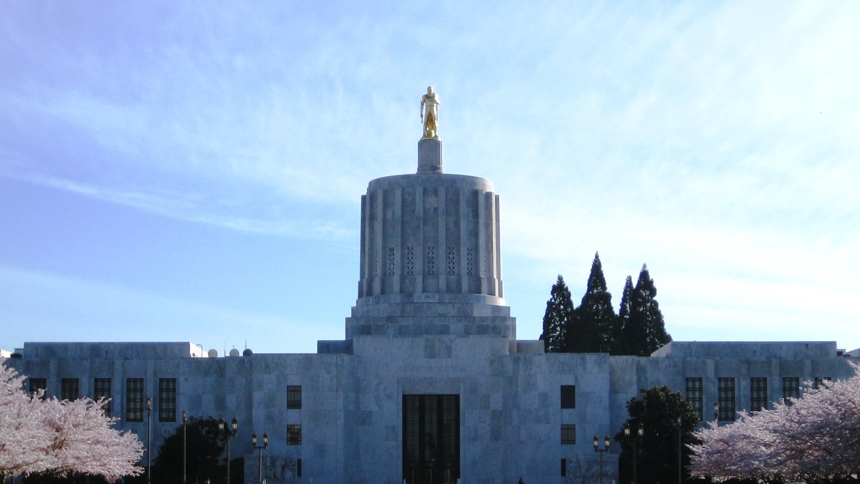 The Oregon State Capitol in Salem with its gold Oregon Pioneer statue on the dome, framed by cherry trees in spring blossom, Marion County