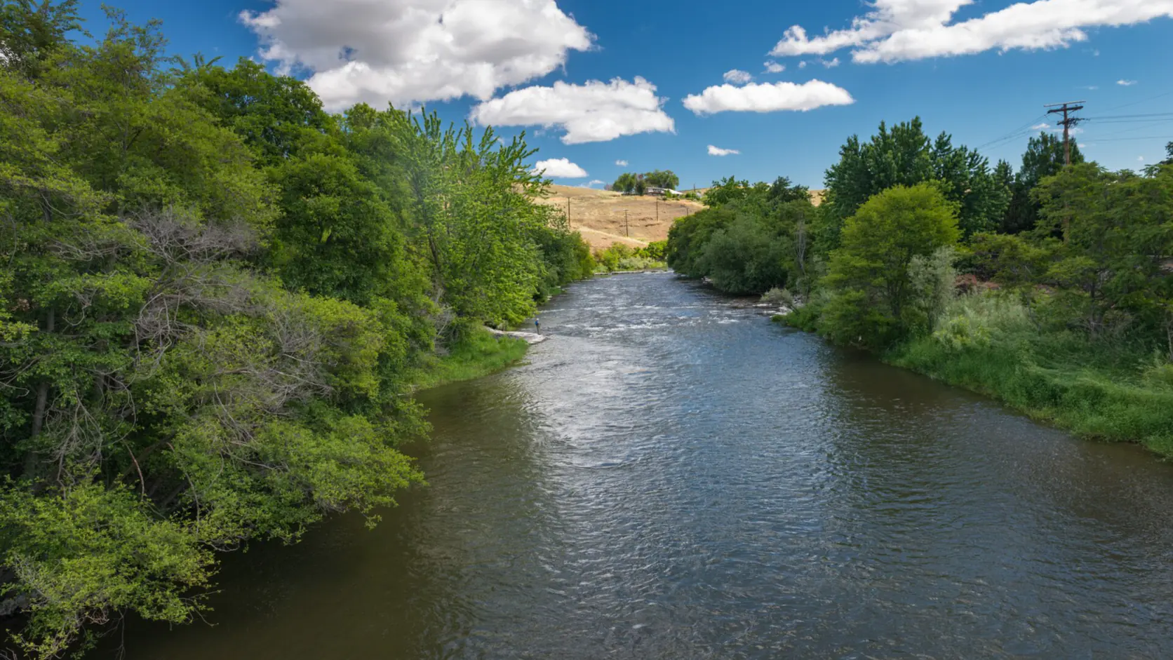 The Umatilla River flowing between green banks at Pendleton, Umatilla County