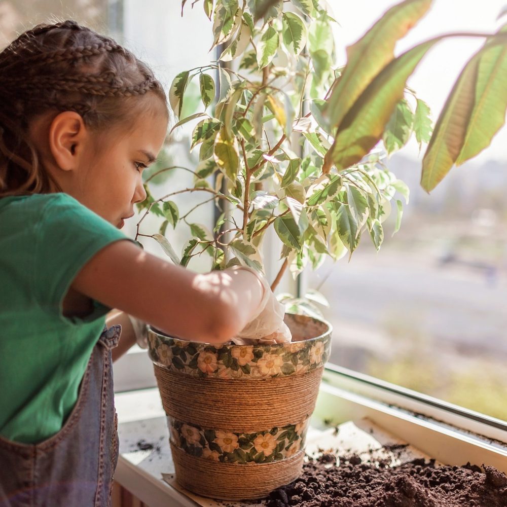 cute-girl-helping-to-care-for-home-plants-on-the-balcony-window-plant-parents-concept-home-flowers_t20_R0XVAJ